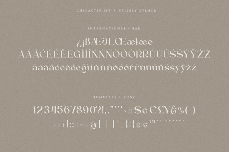 Vallery Qylmor Modern Elegant Serif - Image 9