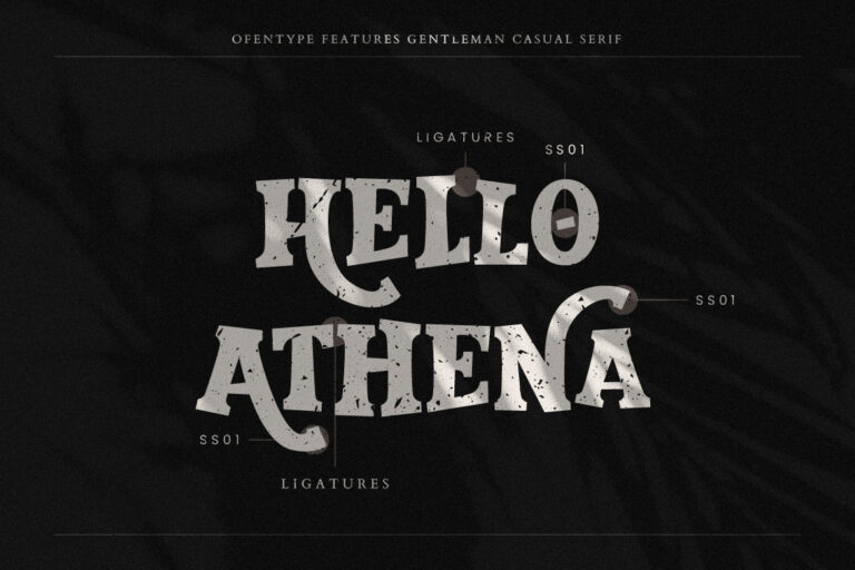 Gentleman Casual Serif - Image 5
