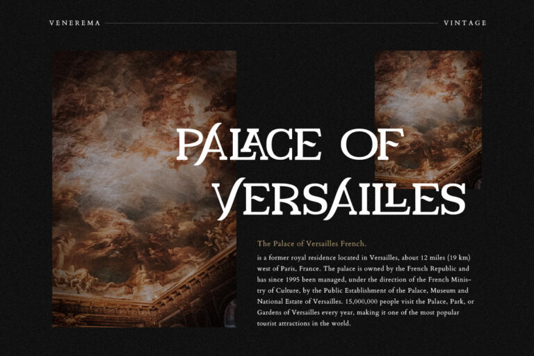 Venerema Vintage Serif - Image 4