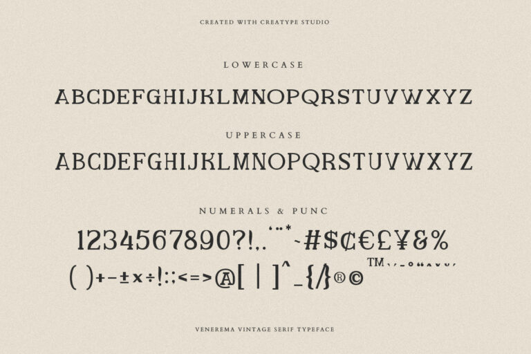 Venerema Vintage Serif - Image 8