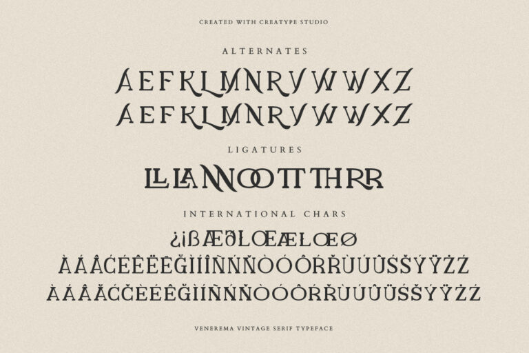 Venerema Vintage Serif - Image 9