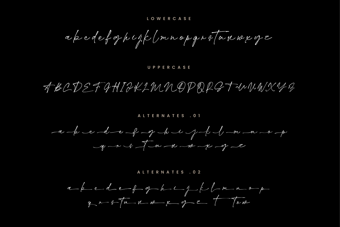 Margheritte Modern Script - Image 8
