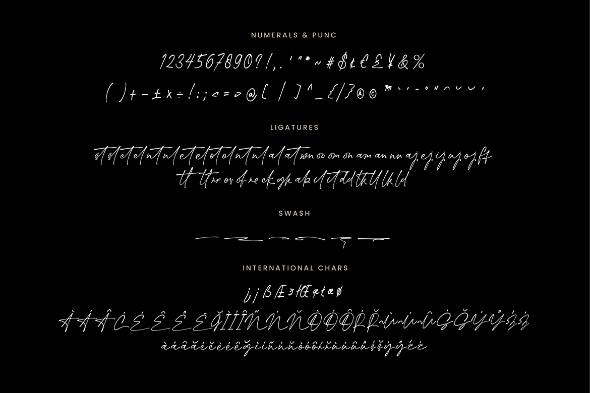 Margheritte Modern Script - Image 9