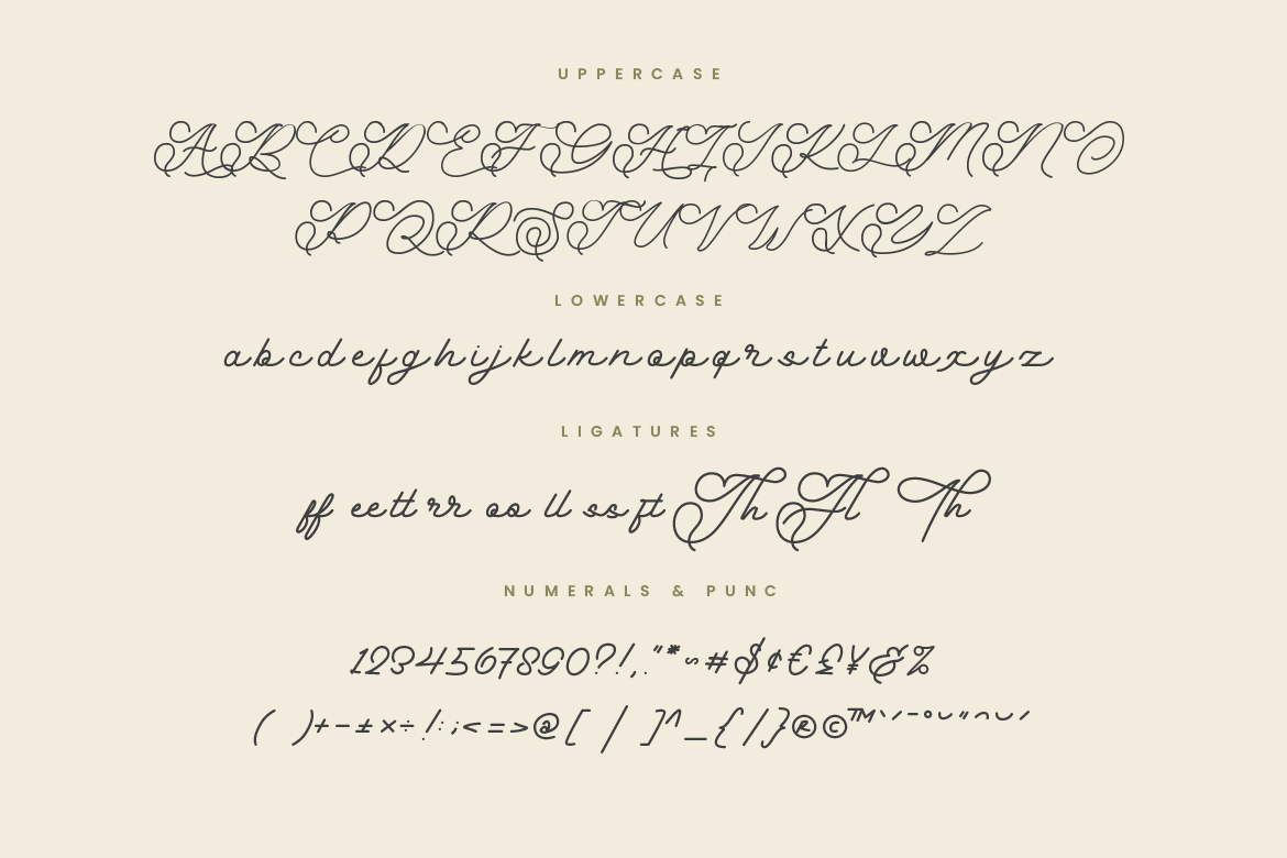 Anabella Monoline Script - Image 8