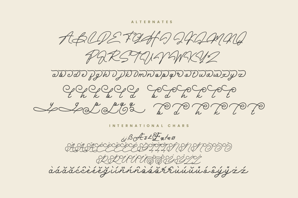 Anabella Monoline Script - Image 9
