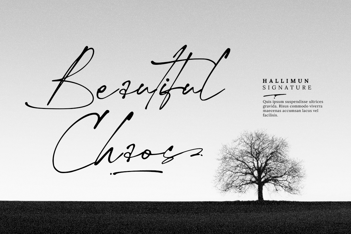 Hallimun Signature Casual Script - Image 2