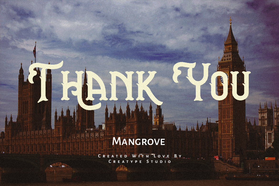 Mangrove Sans Retro - Image 10