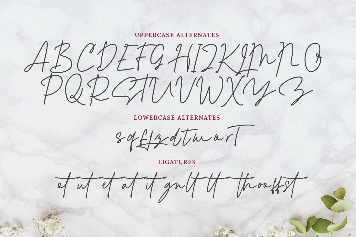 Alexandra Monoline Script - Image 10