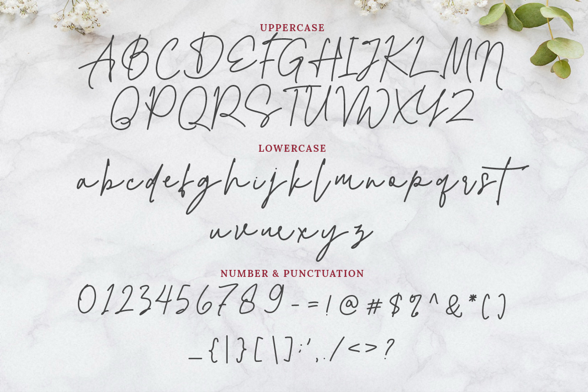 Alexandra Monoline Script - Image 9