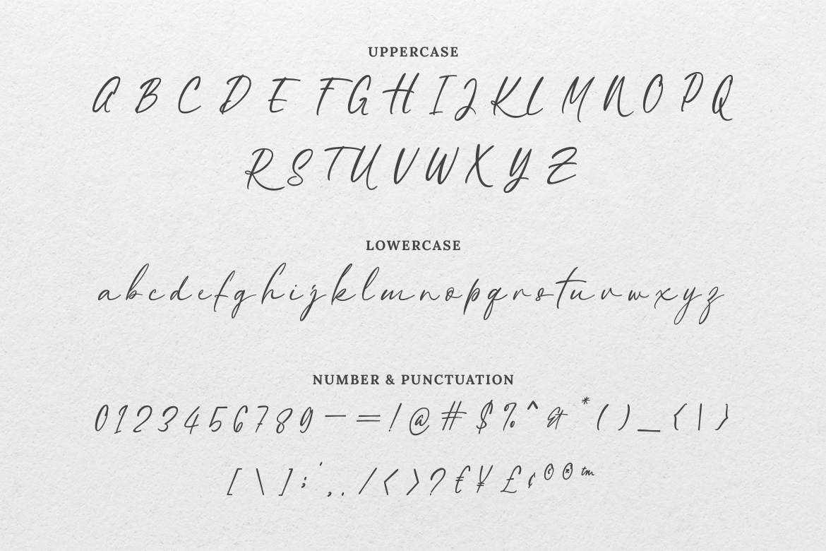 Savannah Signature Script - Image 6