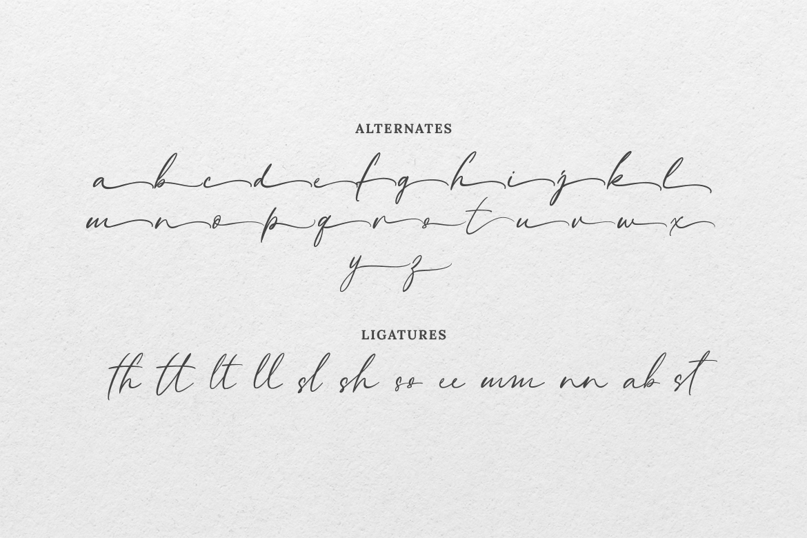 Savannah Signature Script - Image 7