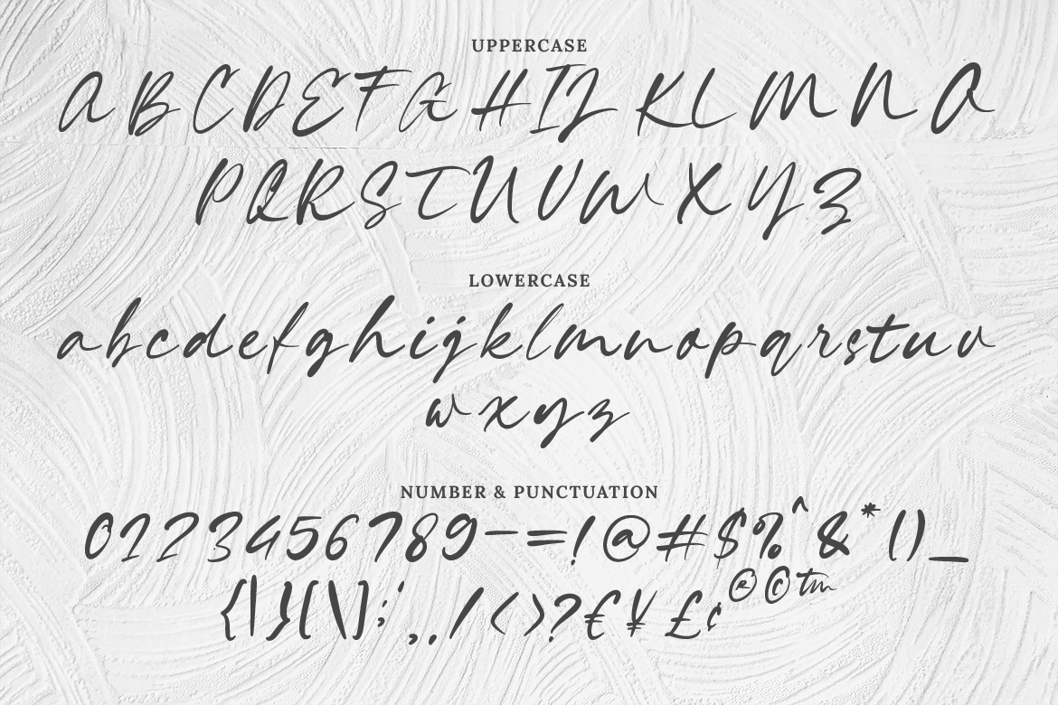Gracelynn Signature Script - Image 6
