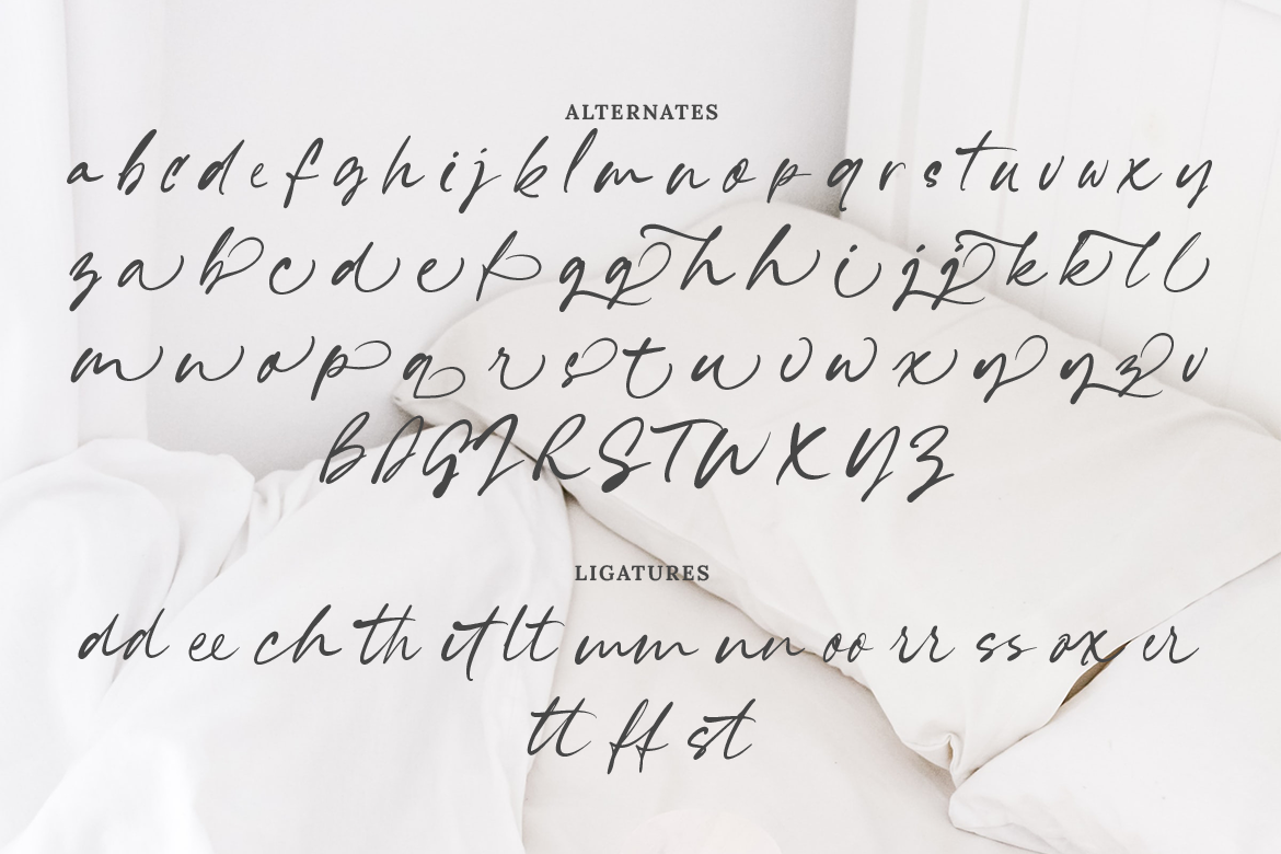 Gracelynn Signature Script - Image 7