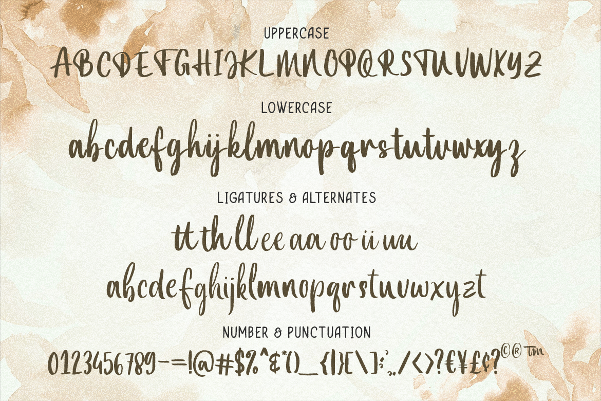 Bottanical Brush Script - Image 8