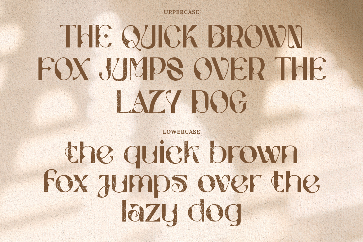 Stockhoolm Medieval Serif - Image 6