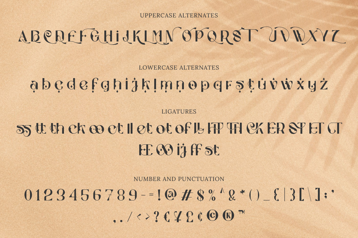 Stockhoolm Medieval Serif - Image 7