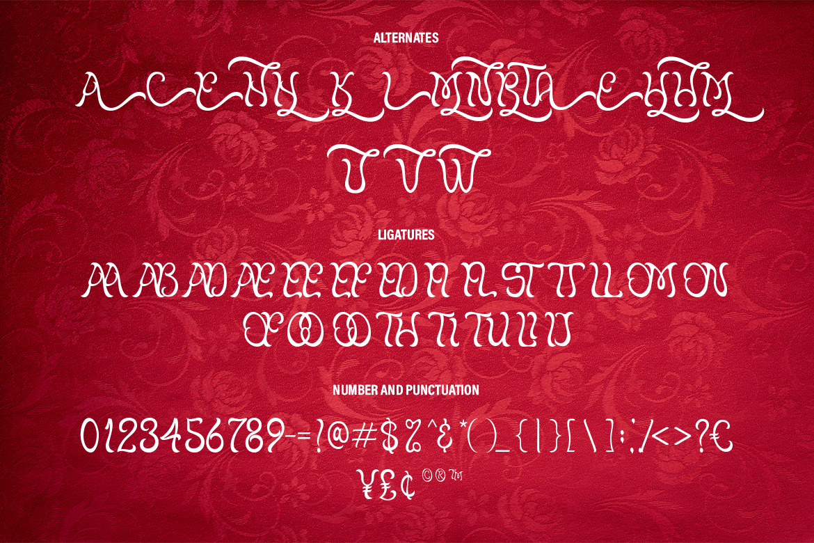 Kattalina Display Serif - Image 7