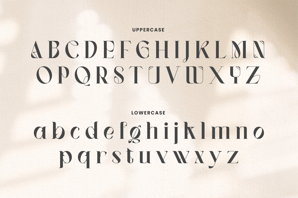 Vagues Elegant Serif - Image 6