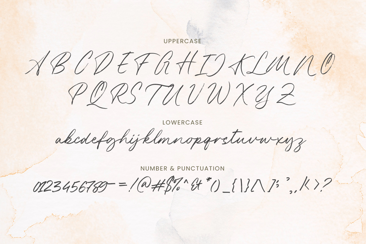 Alesandra Handbrush Script - Image 7