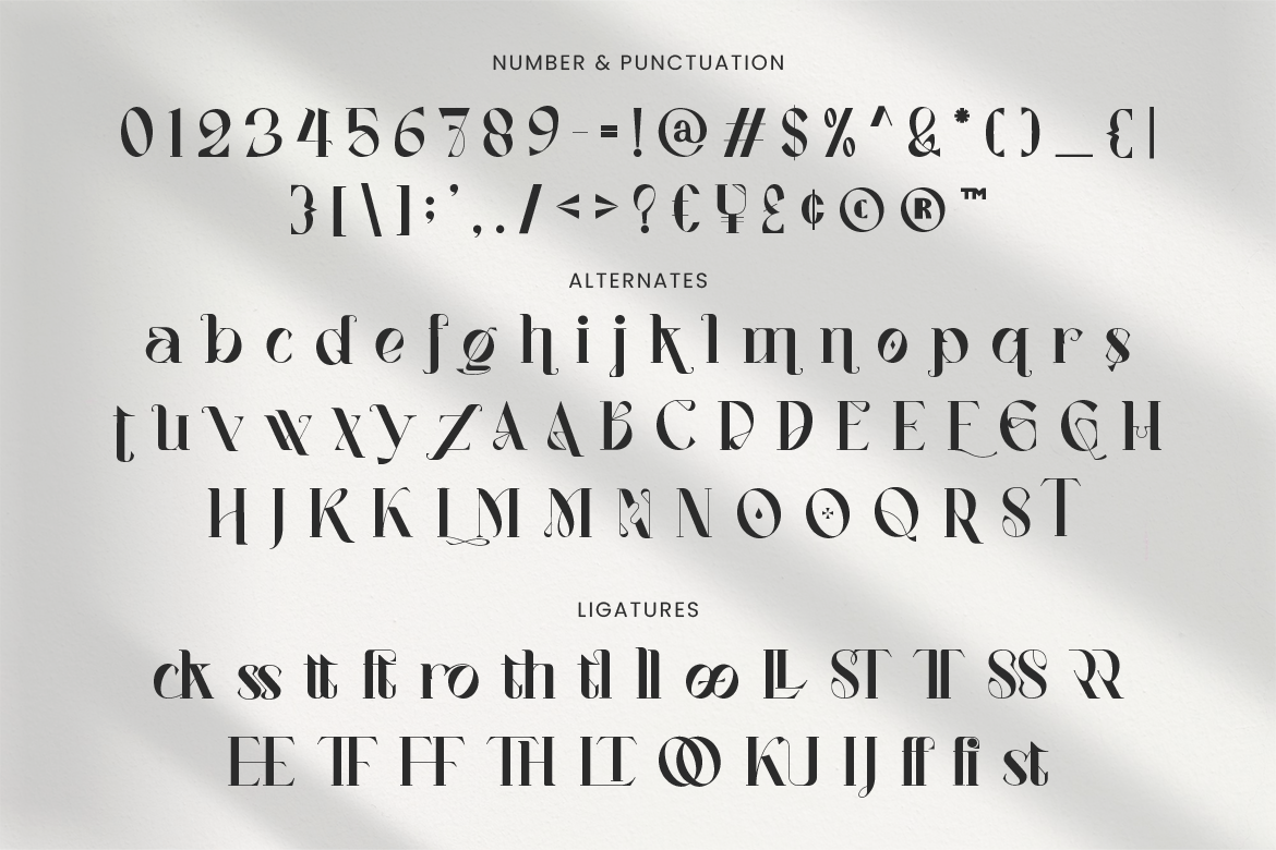 Vagues Elegant Serif - Image 7