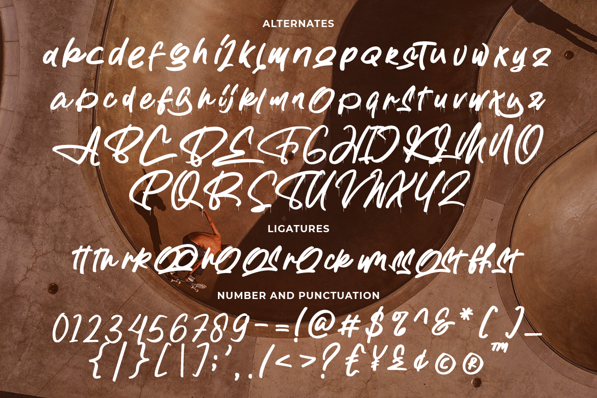 Enostlim Street Brush - Image 7
