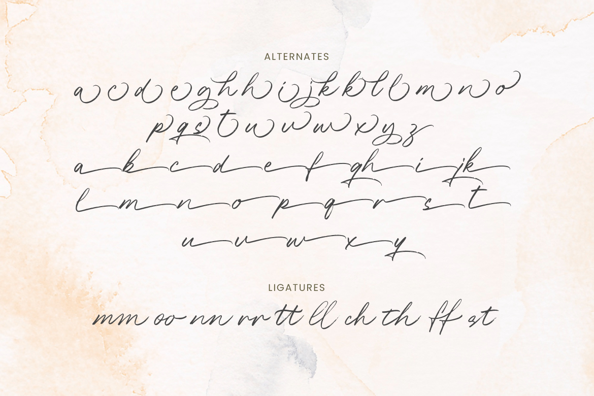 Alesandra Handbrush Script - Image 8