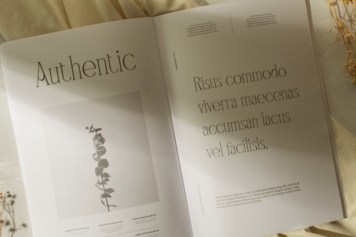 Mangroove Modern Serif - Image 3