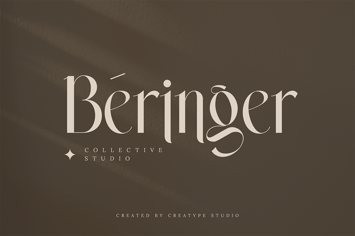 Wastogi Beautiful Serif - Image 4