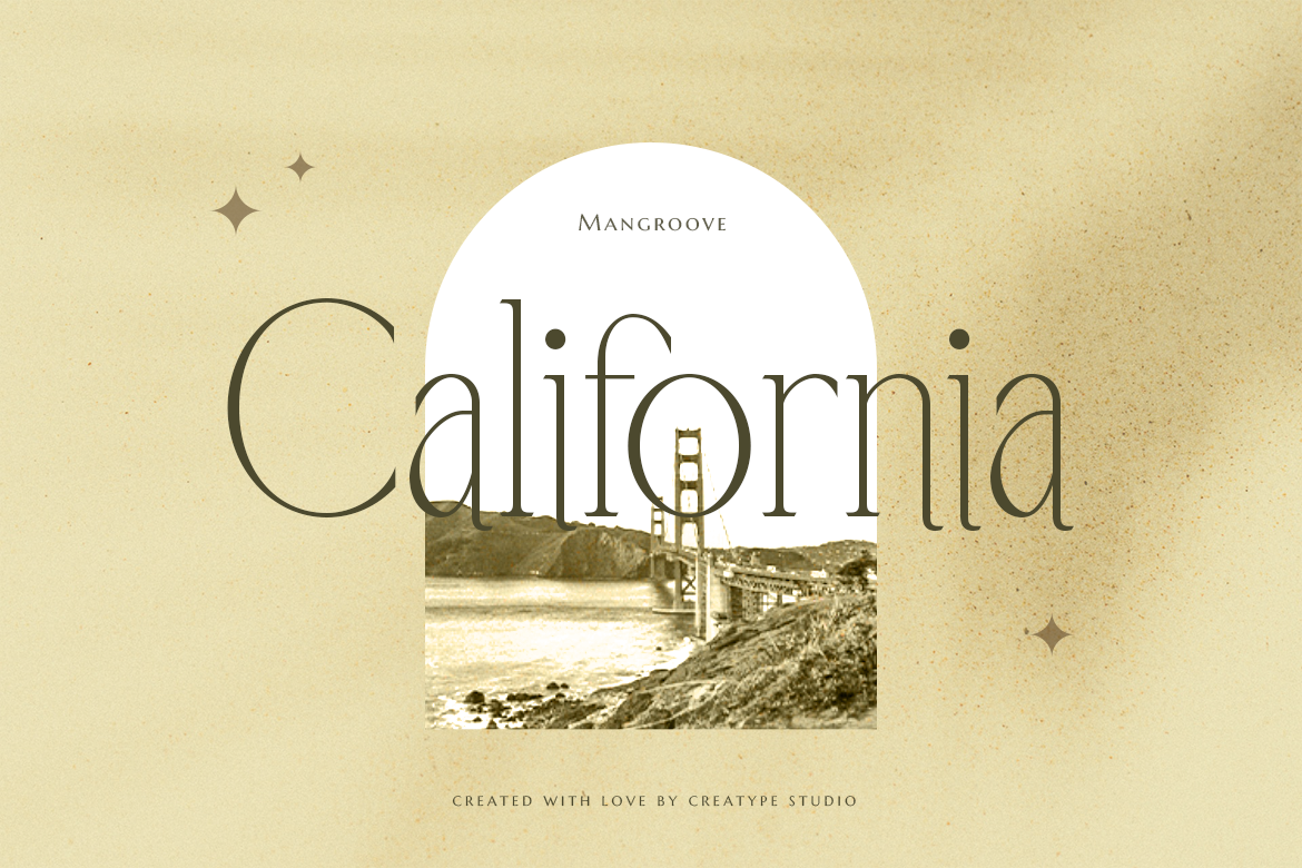 Mangroove Modern Serif - Image 5