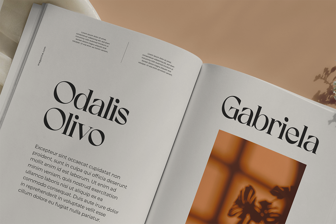 Koolegant Elegant Serif - Image 5