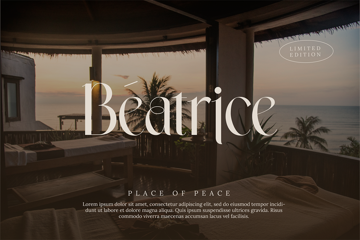 Wastogi Beautiful Serif - Image 6