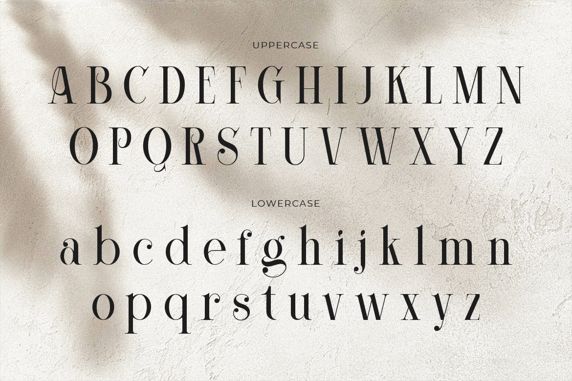 Corleone Elegant Serif - Image 6
