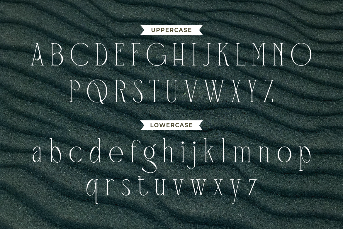 Mangroove Modern Serif - Image 6