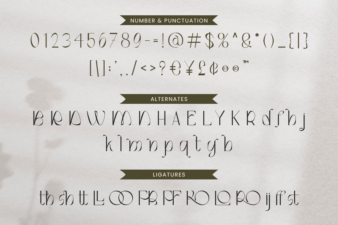 Montero Beautiful Sans - Image 7