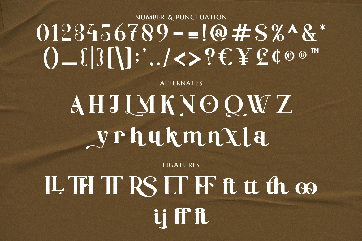 Baginks Birkin Serif - Image 7