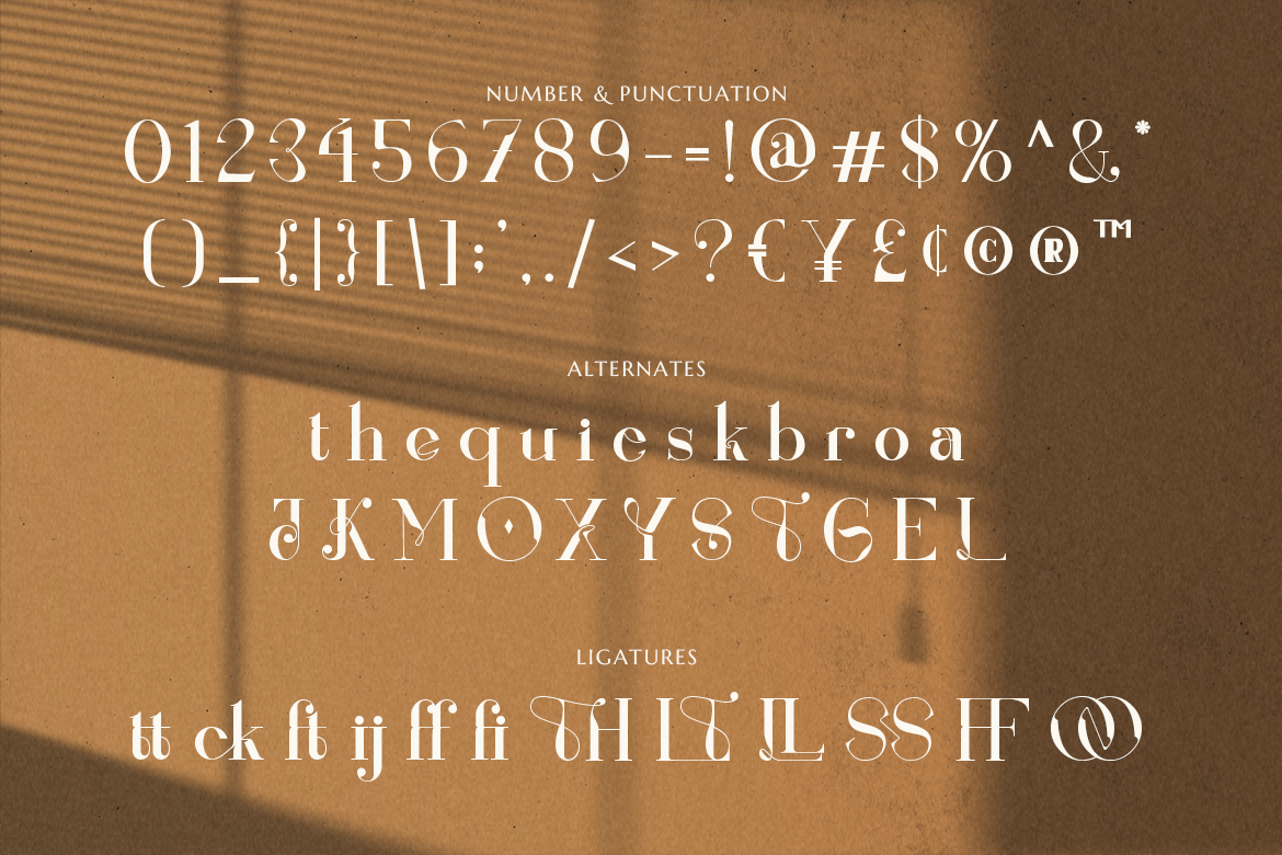 Renaisans Sans Modern Serif - Image 7
