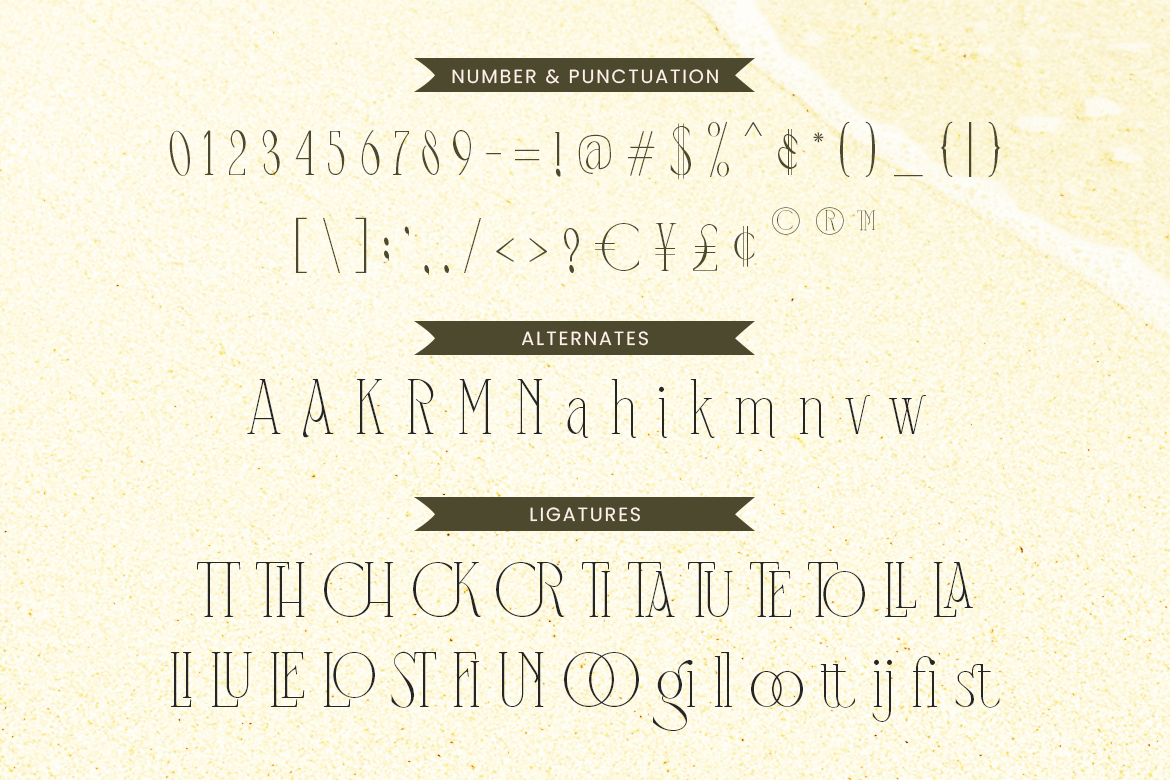 Mangroove Modern Serif - Image 7