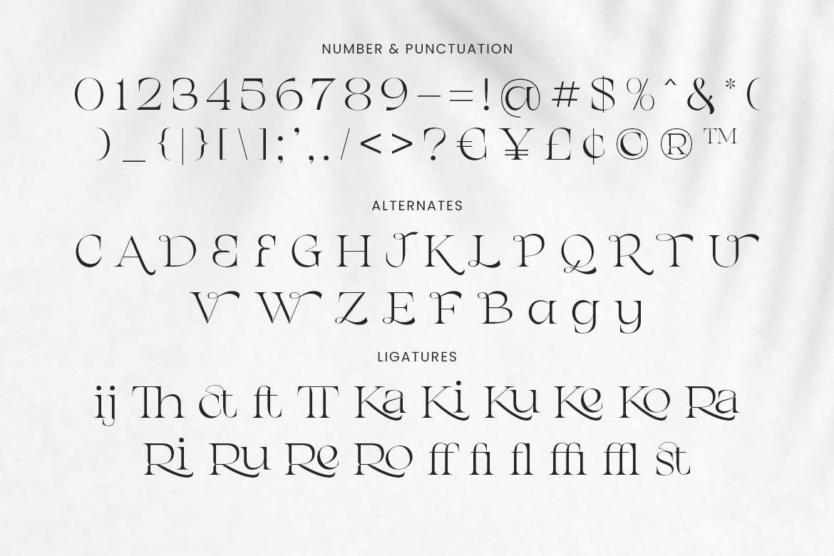 Chanceux Modern Stylish Serif - Image 7