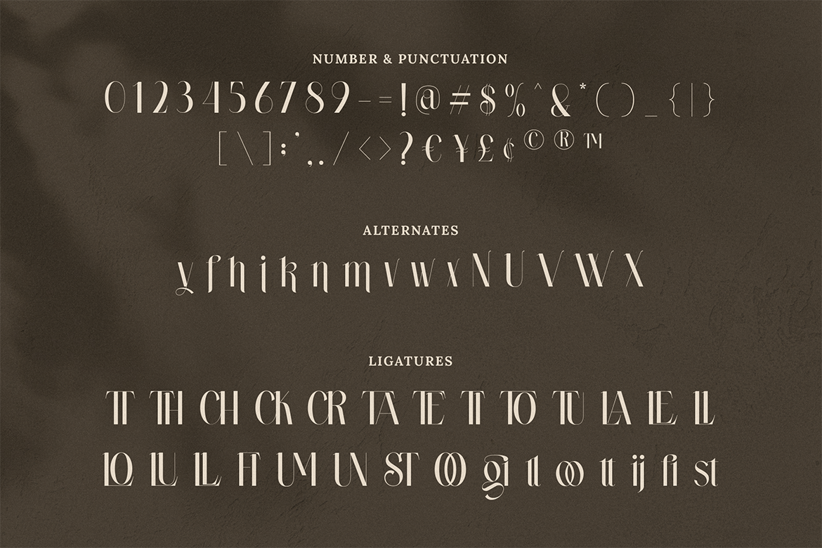 Wastogi Beautiful Serif - Image 8