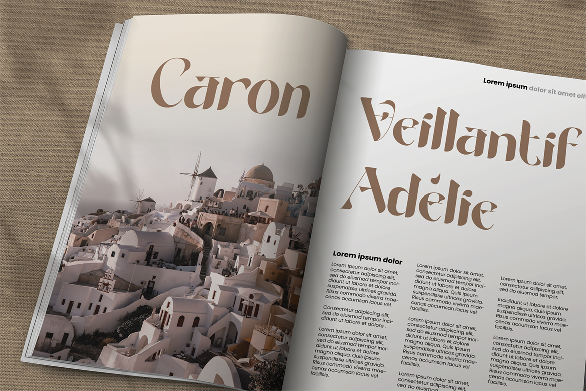 Rooscha Beauty Serif - Image 5