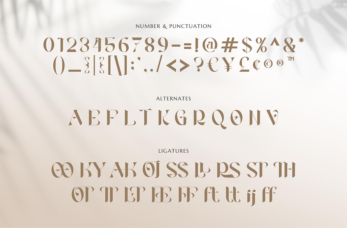 Rooscha Beauty Serif - Image 8