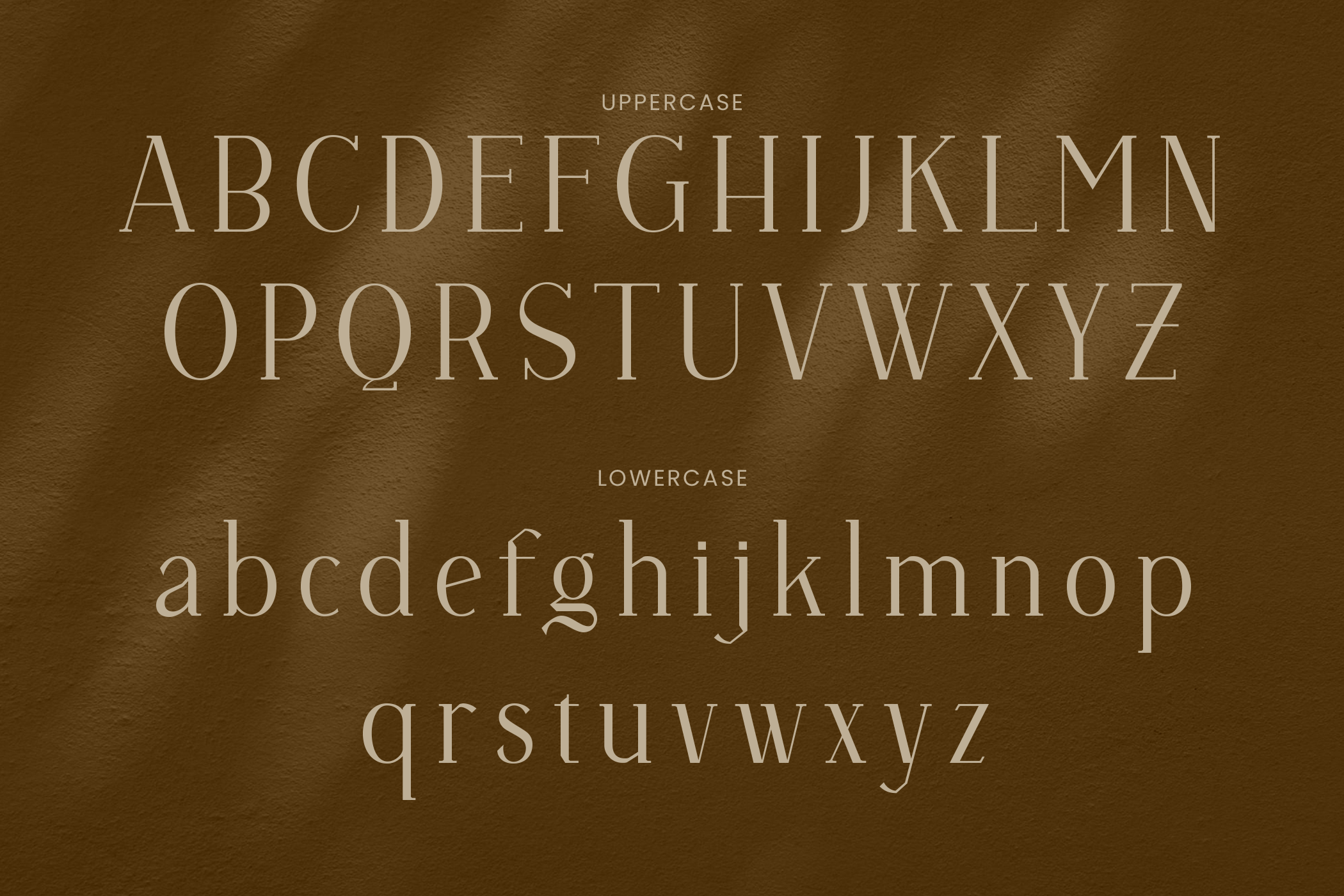 Vulture Beautiful Serif - Image 7