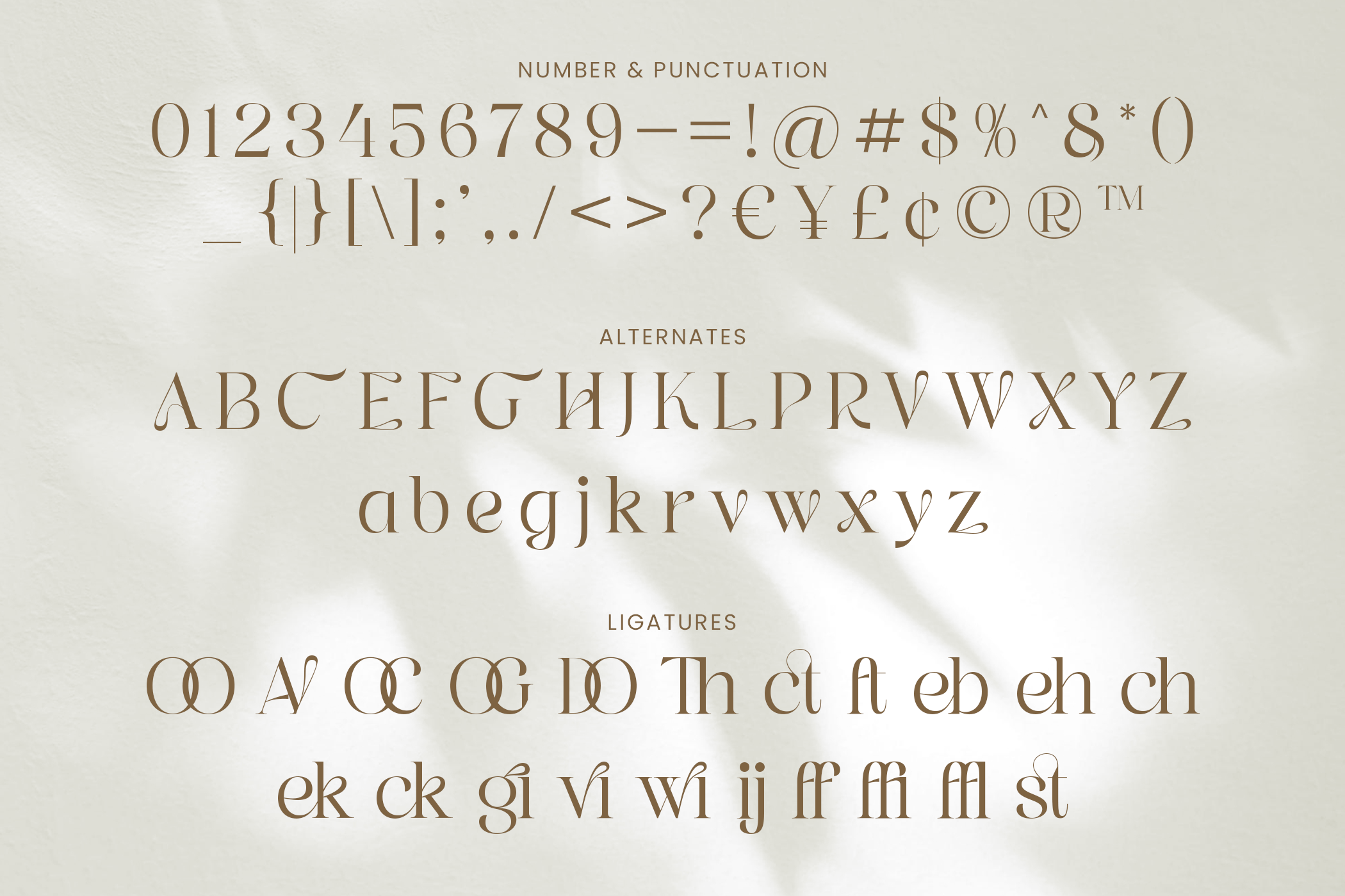 Graphire Modern Elegant Serif - Image 8