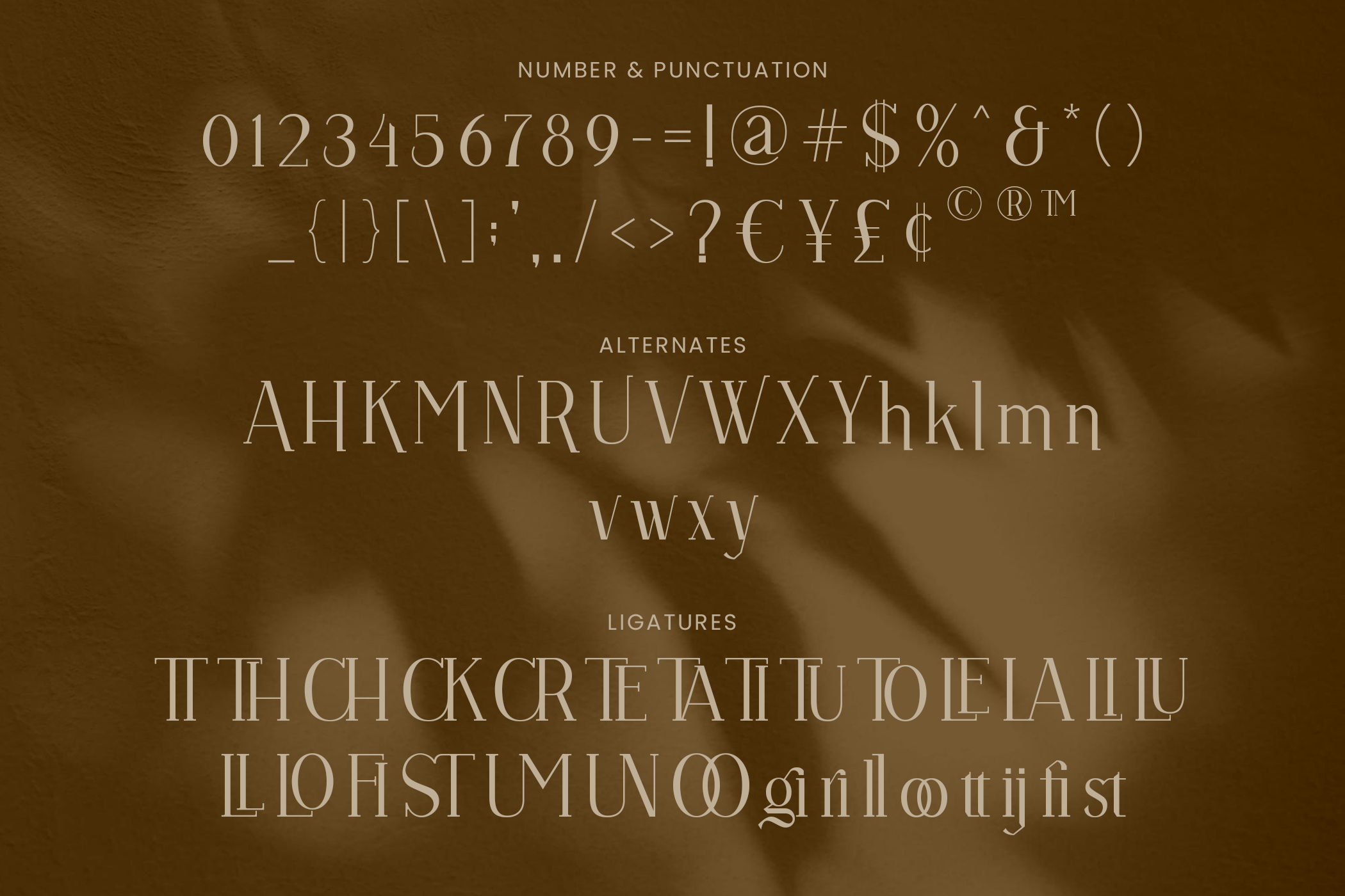 Vulture Beautiful Serif - Image 8