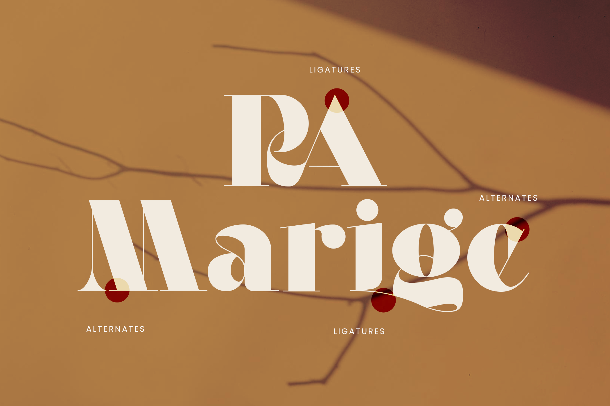 Eloora Bold Serif - Image 8