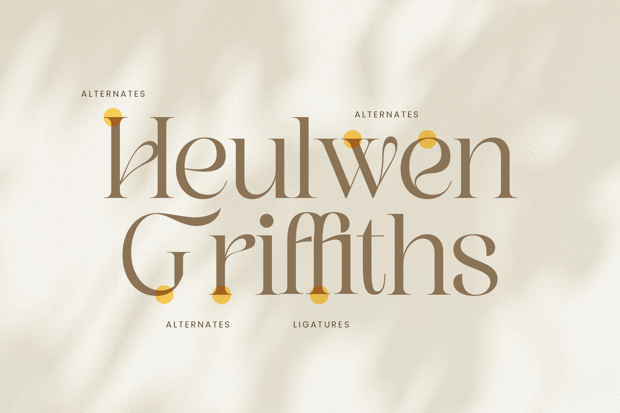 Graphire Modern Elegant Serif - Image 9