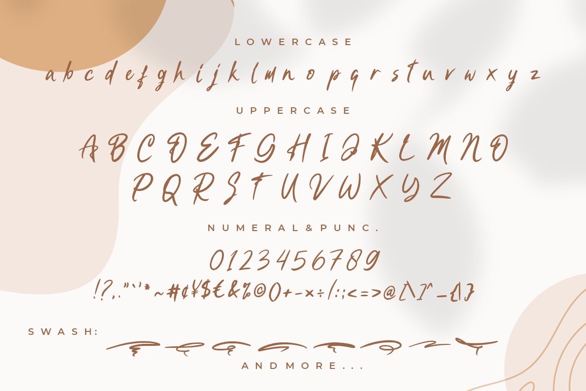 Bellindo Brush - Image 8