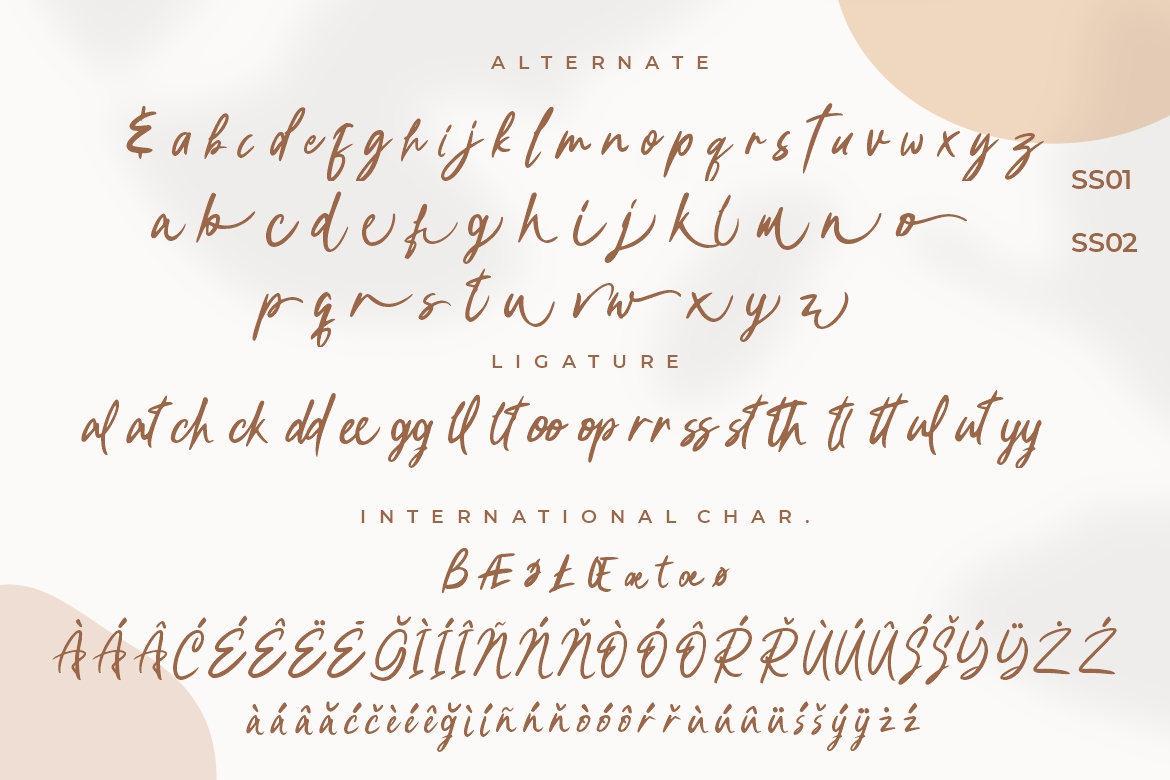 Bellindo Brush - Image 9