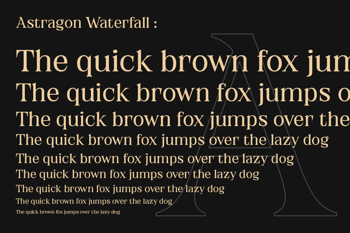 Astragon Modern Serif - Image 2