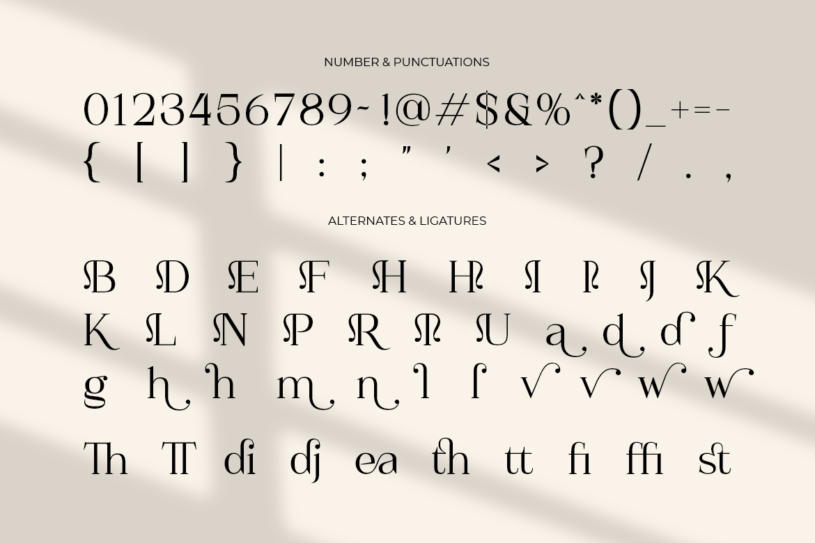 Kithara Sophisticated Serif - Image 10
